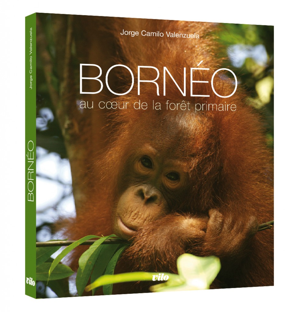 Borneo-Couv